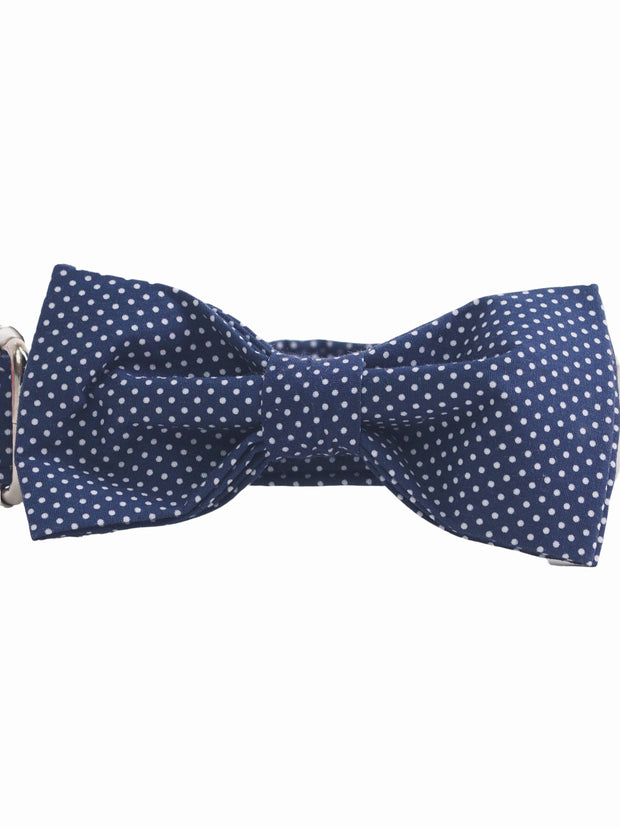 Fashionable dog bow tie
