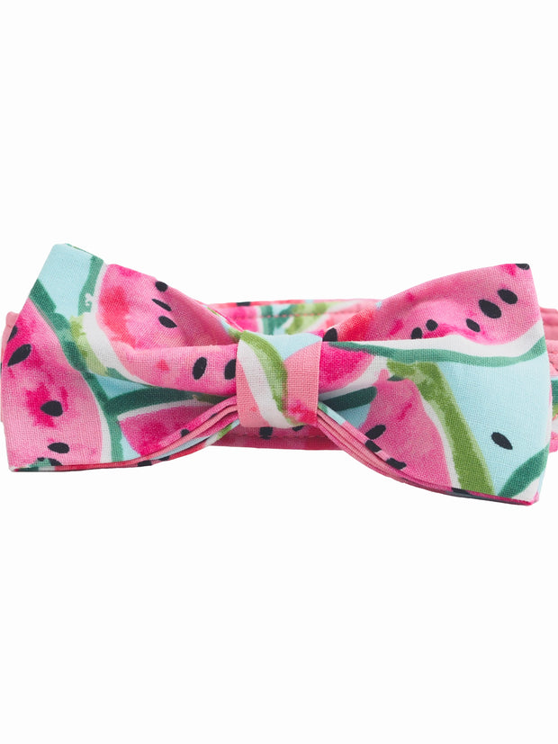 Spring fashion watermelon pattern dog bow tie collar