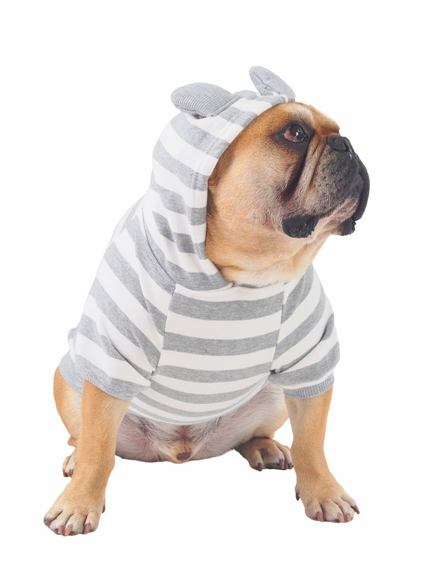 High quality striped dog jumper with hood and ears