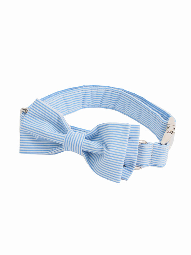 Blue and white striped bow tie and collar for dogs