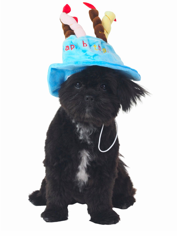 Funny Birthday Cake Dog Hat for dog birthday party