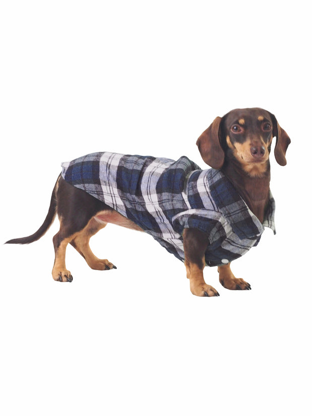 Trendy hipster plaid dog shirt