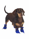 Affordable online dog paw protectors in blue