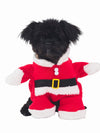 Santa Claus Dog Costume