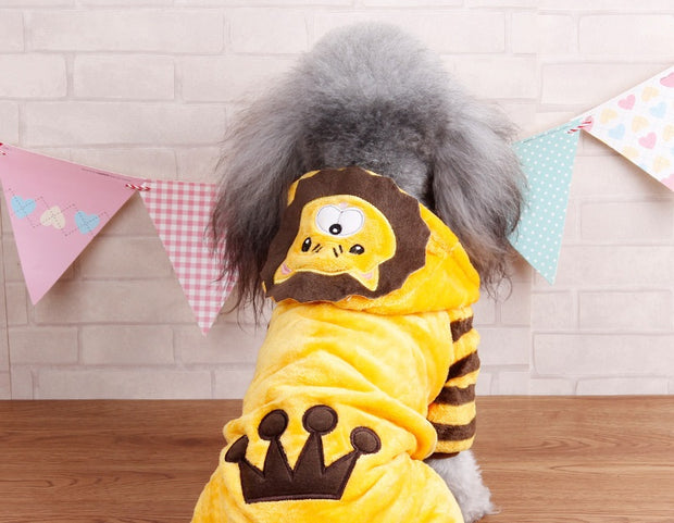 Autumn And Winter Transformed Into Dog Pet Costumes