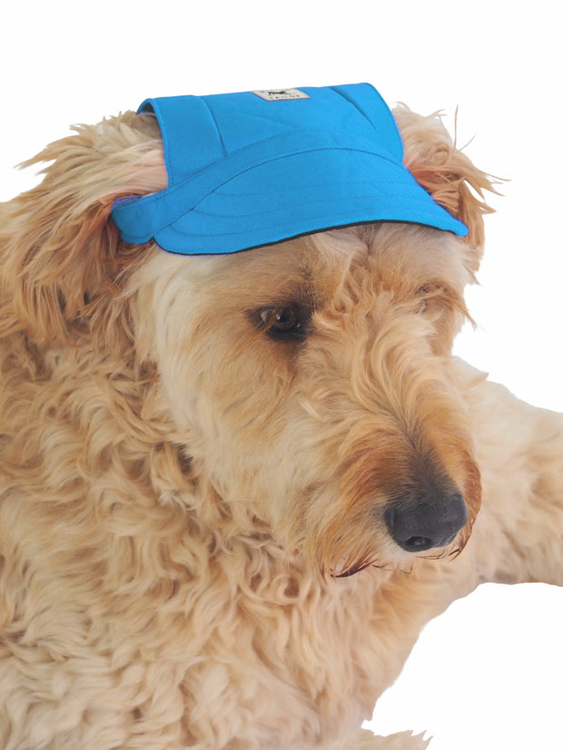 Fashionable adjustable dog cap in blue 