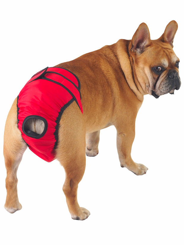 Dog Sanitary Pants in red