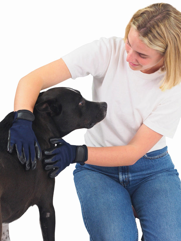 Professional Dog Grooming Glove
