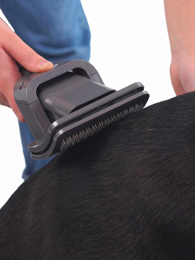 Dyson vacuum dog grooming attachment