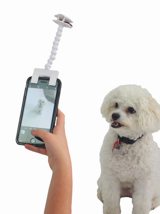 Affordable online dog lovers gifts Dog selfie stick