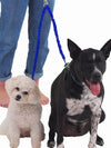 Elastic dog lead for walking two dogs at once