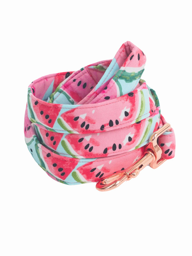 Affordable Online Juicy Watermelon Dog Lead