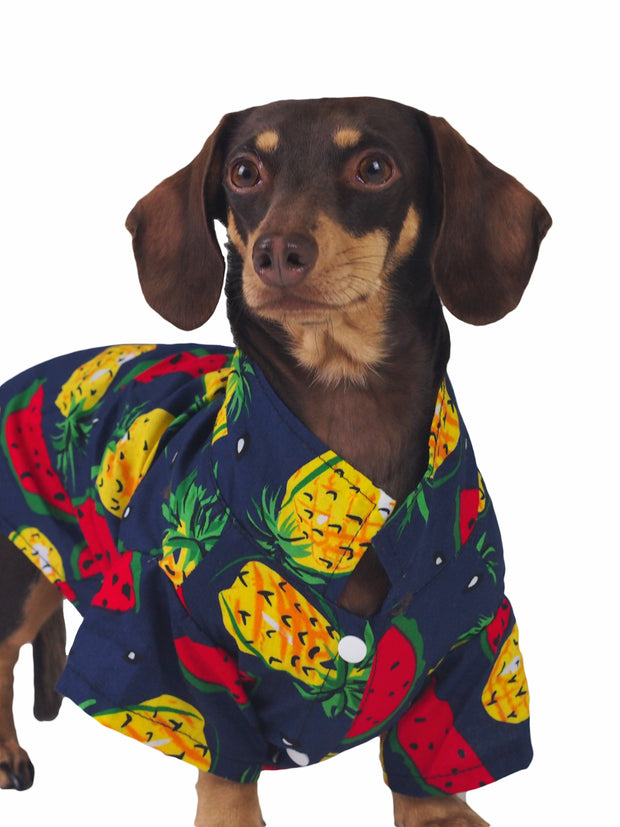 Fashionable summer and spring Hawaiian dog shirt
