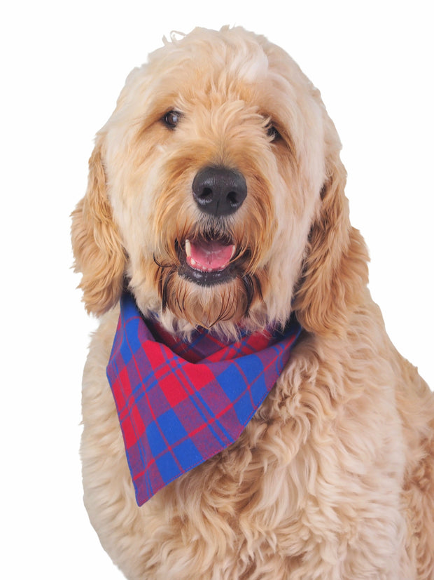 Cotton knotted dog bandana in red and blue