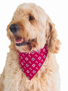 Nautical themed clip dog bandana