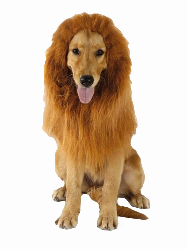 Lion mane without ears dog costume
