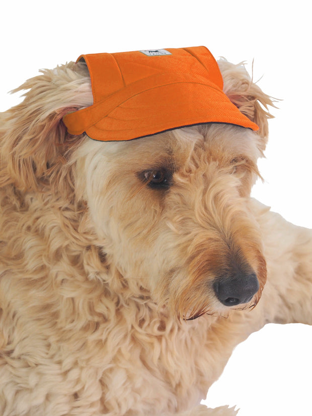 Cute hat for dogs in orange with chin strap