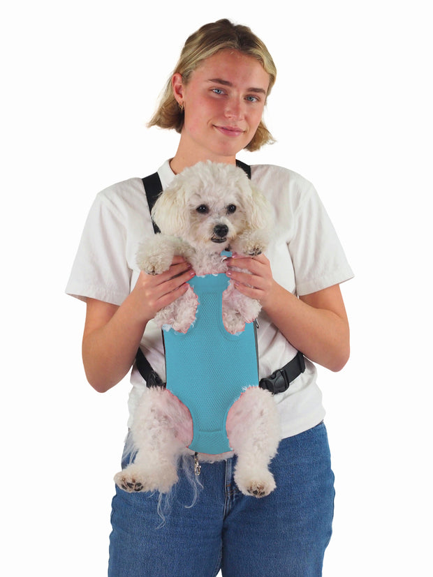 Cool small puppy dog front carrier bag legs out