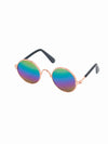 Funny dog sunglasses in rainbow