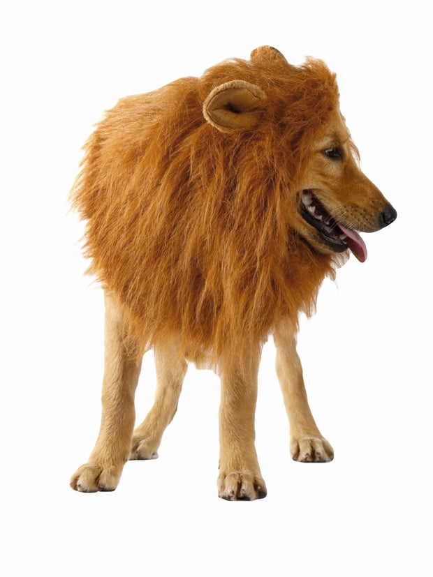 Lion mane with ears costume for dogs