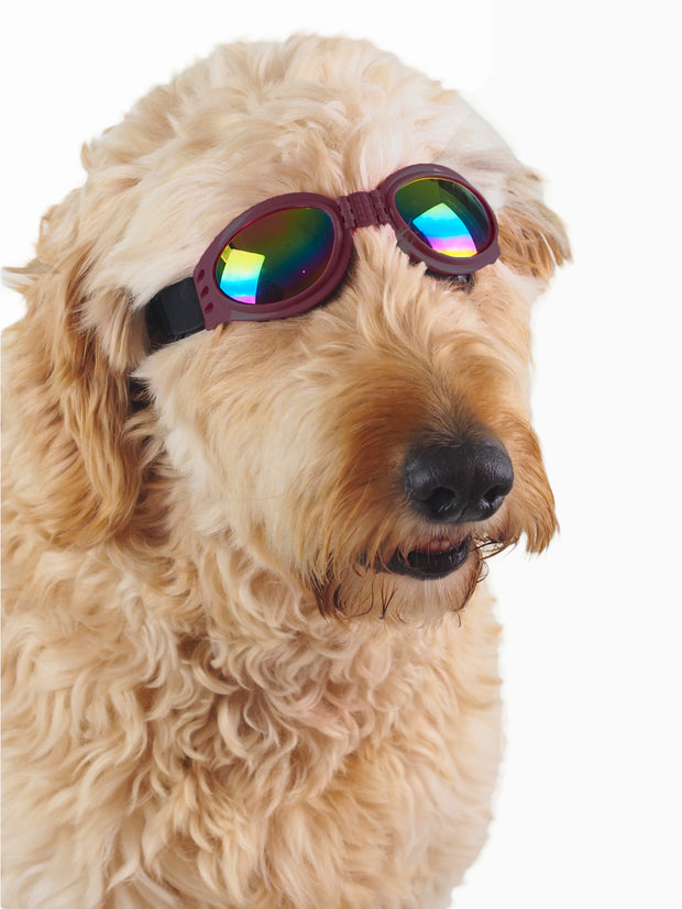 Adjustable shatterproof protective dog goggles