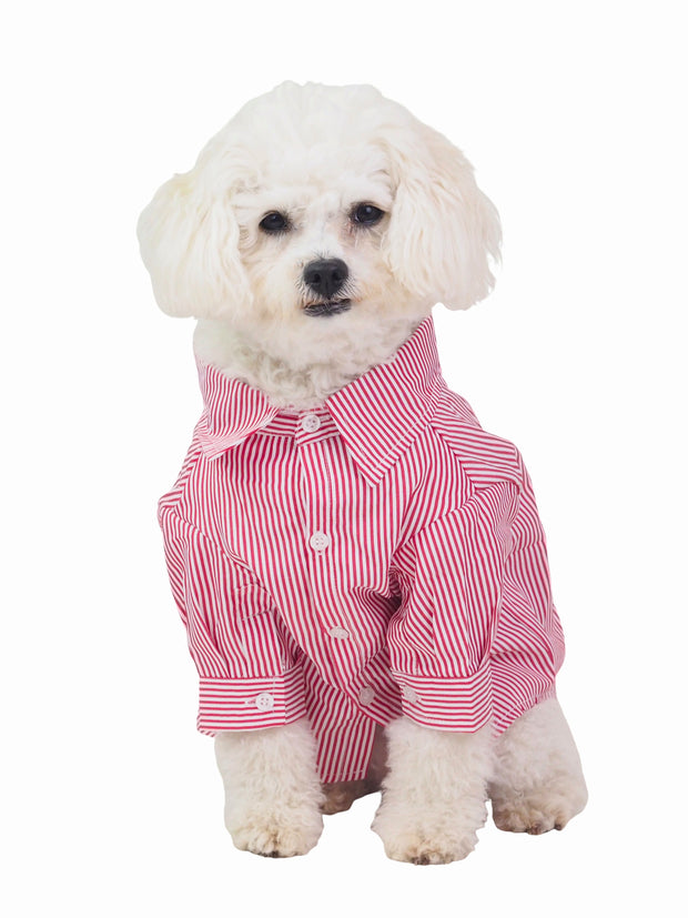 Pupper Striped Dog Business Shirt