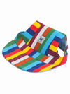 Cool rainbow pattern dog hat for summer