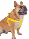 Affordable online dog muzzles and harnesses glow LED