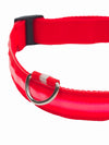 Affordable online LED dog collar