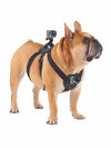 Shoot Action Gopro POV Dog Harness