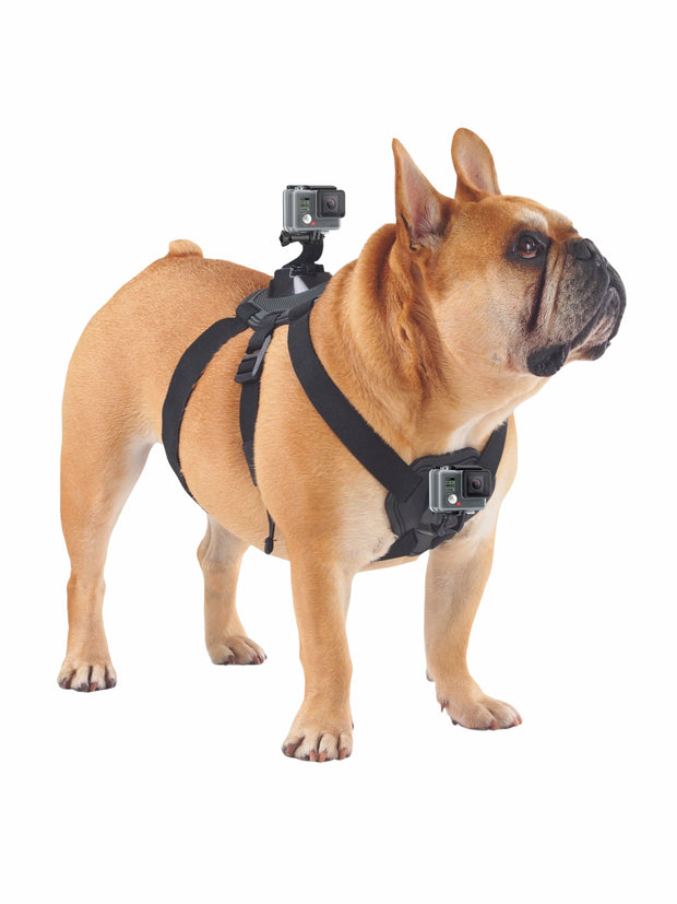 Shoot Action Gopro POV Dog Harness