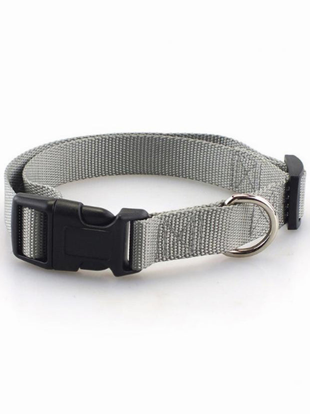 grey adjustable nylon dog collar