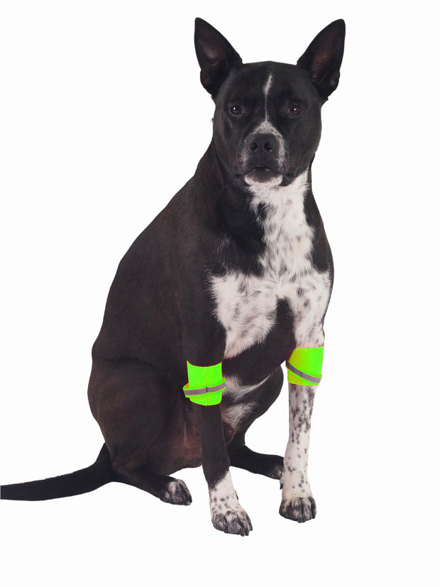 Hi-Vis Reflective Dog Leg Bands