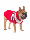 Varsity Smart Striped Dog Sweater Jumper