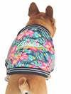 Affordable online dog jumpers, sweaters and hoodies