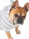 Affordable online striped dog jumpers, sweaters and hoodies