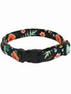 luxury island life dog collar