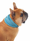 Cooling dog bandana for summer