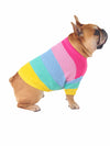 Cool knitted rainbow sweater for dogs