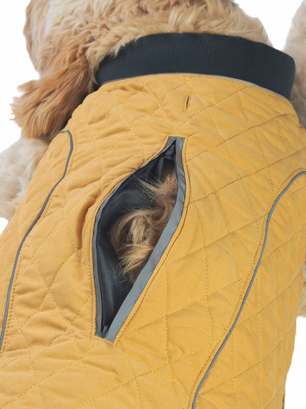 High quality adjustable dog jacket and coat with lead hole