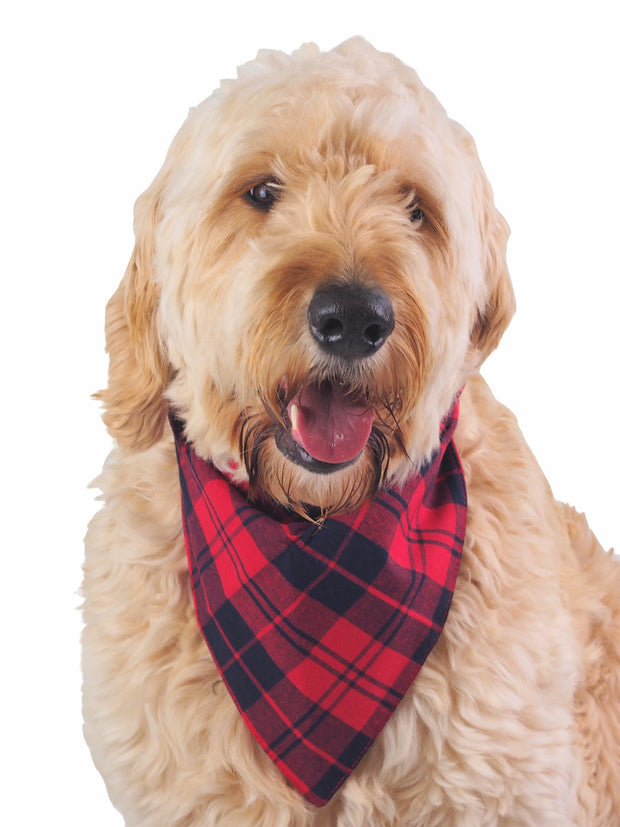 Reversible cotton dog bandana in red and black plaid