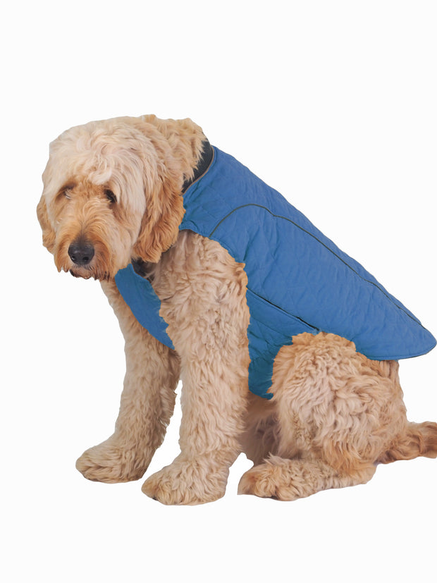 Fashionable online large dog jackets, coats and apparel
