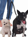 Nylon dog lead coupler for two dogs