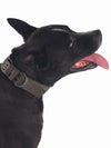 tactical service dog collar
