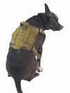 Tough nylon dog harness with velcro paches