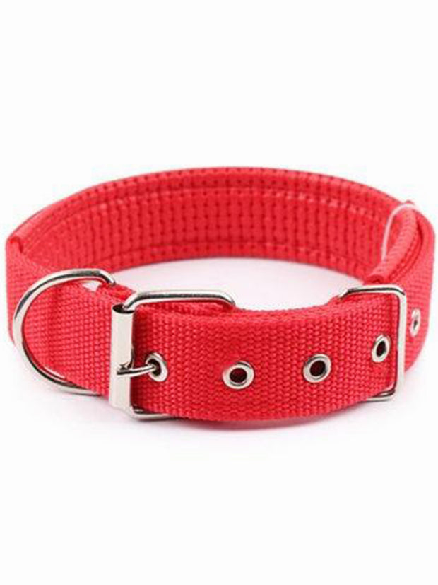 Red Adjustable Nylon Dog Collar