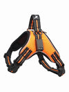 orange led night dog harness