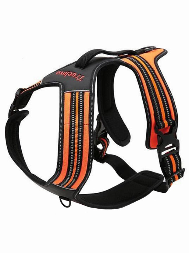 orange reflective dog harness