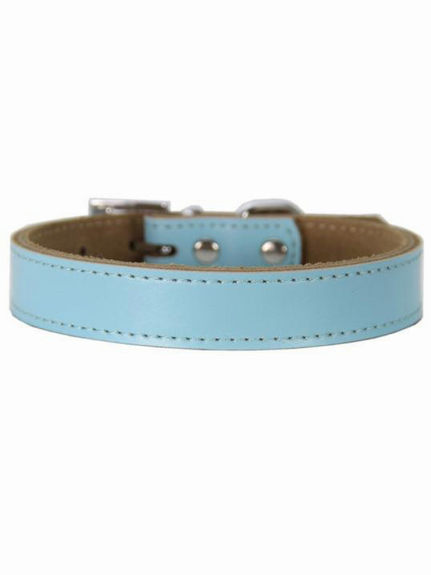 quality blue leather dog collar
