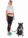 Hands free dog lead and belt for running with dog